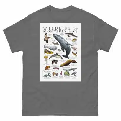 Wildlife of Monterey Bay - Men's classic tee - Image 4