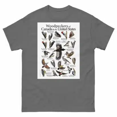 Woodpeckers of the USA & Canada Men's classic tee - Image 4