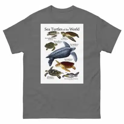 Sea Turtles of the World - Men's classic tee - Image 4
