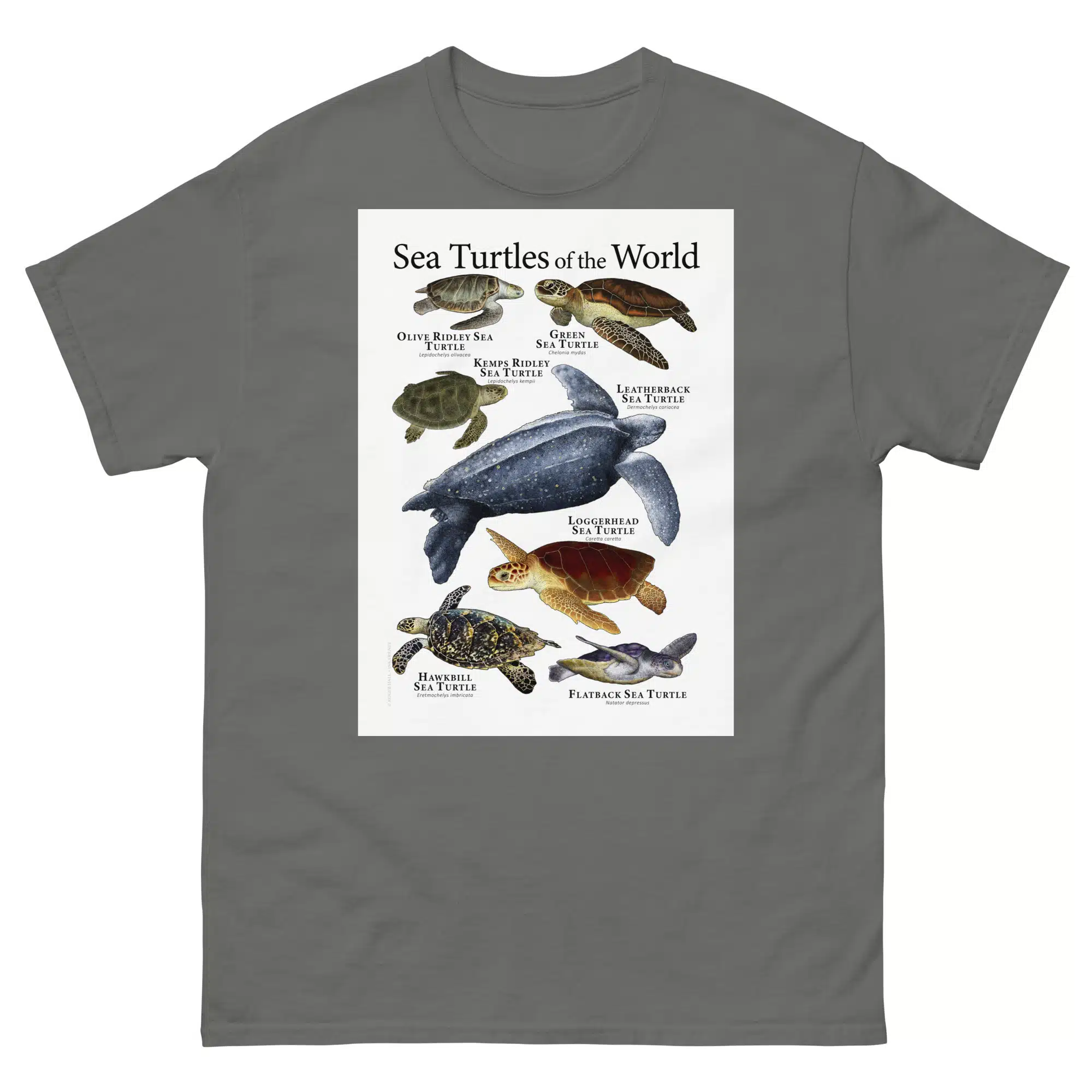 Sea Turtles of the World - Men's classic tee