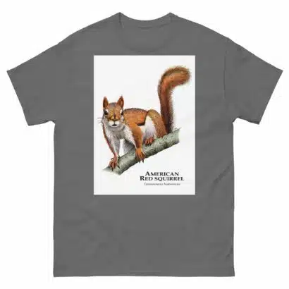 American Red Squirrel - Men's classic tee - Image 4