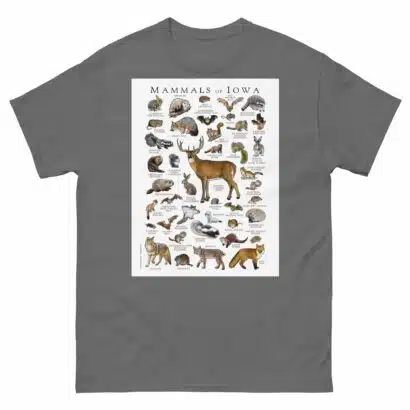 Mammals of Iowa - Men's classic tee - Image 4