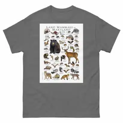 Land Mammals of Maryland - Men's classic tee - Image 4