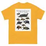 Freshwater Turtles of New York - Men's classic tee - Image 8