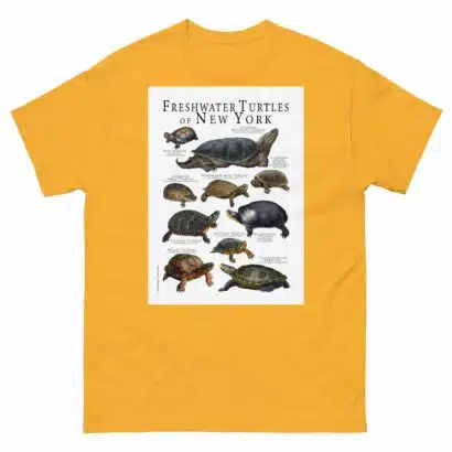 Freshwater Turtles of New York - Men's classic tee - Image 8