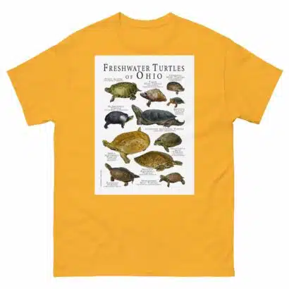 Freshwater Turtles of Ohio - Men's classic tee - Image 8