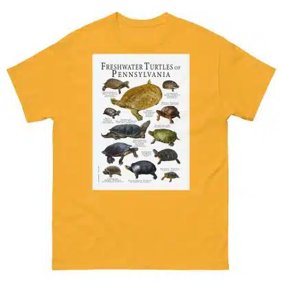 Freshwater Turtles of Pennsylvania - Men's classic tee - Image 8