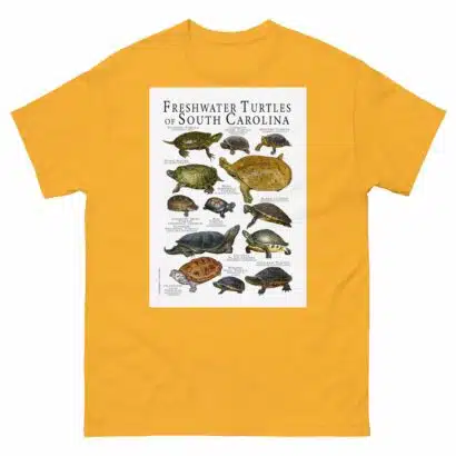 Freshwater Turtles of South Carolina - Men's classic tee - Image 8
