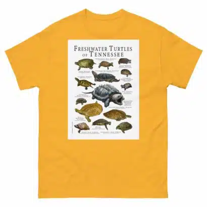 Freshwater Turtles of Tennessee - Men's classic tee - Image 8