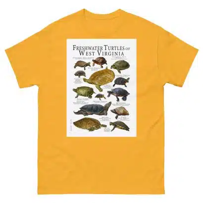 Freshwater Turtles of West Virginia - Men's classic tee - Image 8