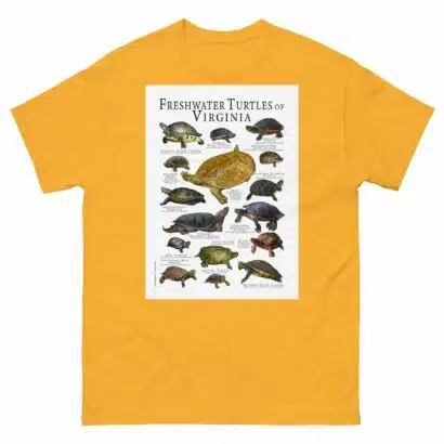 Freshwater Turtles of Virginia - Men's classic tee - Image 8