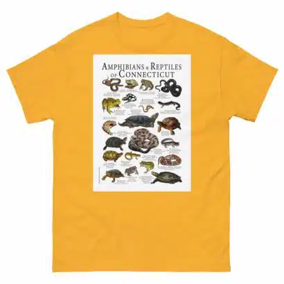 Amphibians & Reptiles of Connecticut - Men's classic tee - Image 8