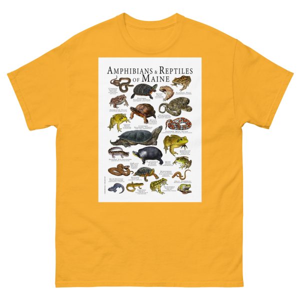 Amphibians & Reptiles of Maine - Men's classic tee - Image 8