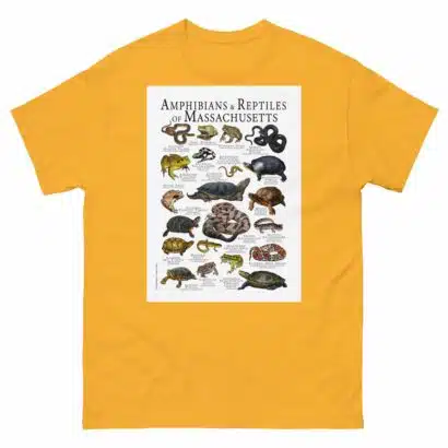 Amphibians & Reptiles of Massachusetts - Men's classic tee - Image 8