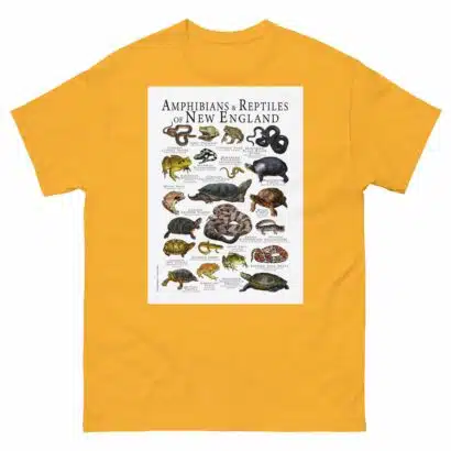 Amphibians & Reptiles of New England - Men's classic tee - Image 8