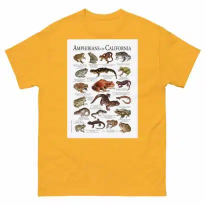 Amphibians of California - Men's classic tee - Image 8