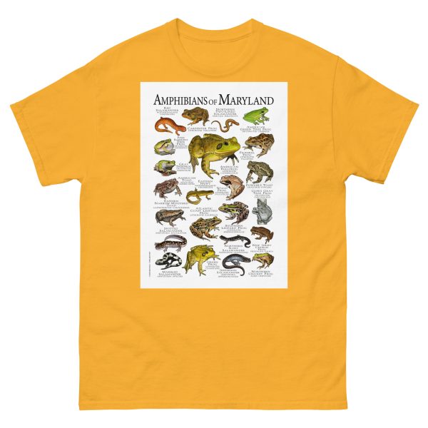 Amphibians of Maryland - Men's classic tee - Image 8