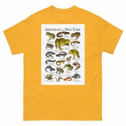 Amphibians of New York - Men's classic tee - Image 8