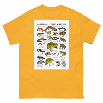 Amphibians of West Virginia - Men's classic tee - Image 8