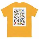 Songbirds of Connecticut - Men's classic tee - Image 8