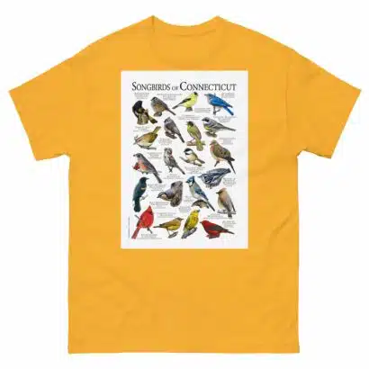 Songbirds of Connecticut - Men's classic tee - Image 8