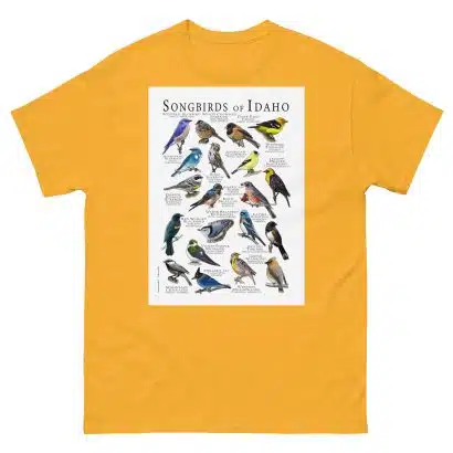 Songbirds of Idaho - Men's classic tee - Image 8