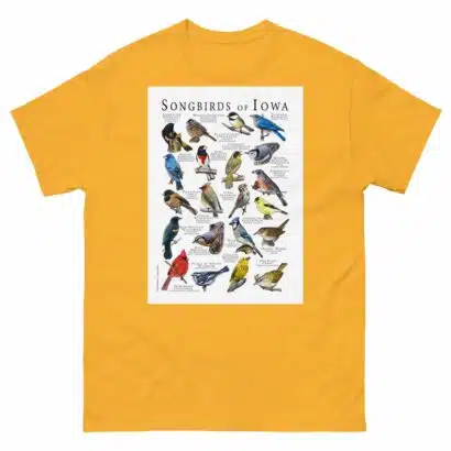 Songbirds of Iowa - Men's classic tee - Image 8