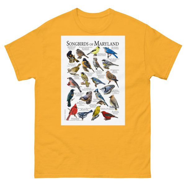 Songbirds of Maryland - Men's classic tee - Image 8