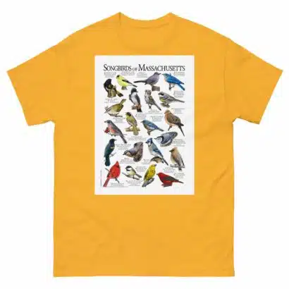 Songbirds of Massachusetts - Men's classic tee - Image 8