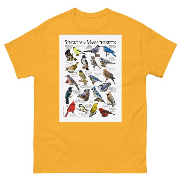 Songbirds of Massachusetts - Men's classic tee - Image 8