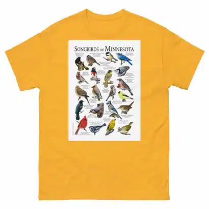 Songbirds of Minnesota - Men's classic tee - Image 8