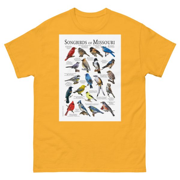 Songbirds of Missouri - Men's classic tee - Image 8