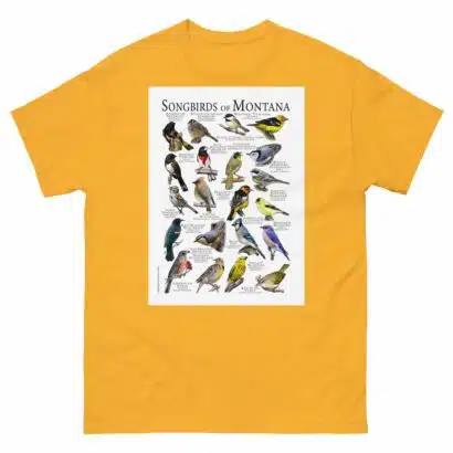 Songbirds of Montana - Men's classic tee - Image 8