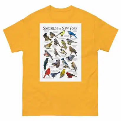 Songbirds of New York - Men's classic tee - Image 8
