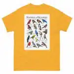 Songbirds of Oklahoma - Men's classic tee - Image 8