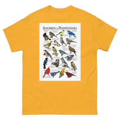 Songbirds of Pennsylvania - Men's classic tee - Image 8