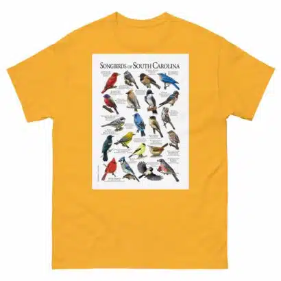 Songbirds of South Carolina - Men's classic tee - Image 8