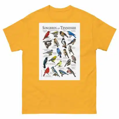 Songbirds of Tennessee - Men's classic tee - Image 8