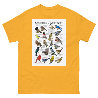 Songbirds of Wisconsin - Men's classic tee - Image 8