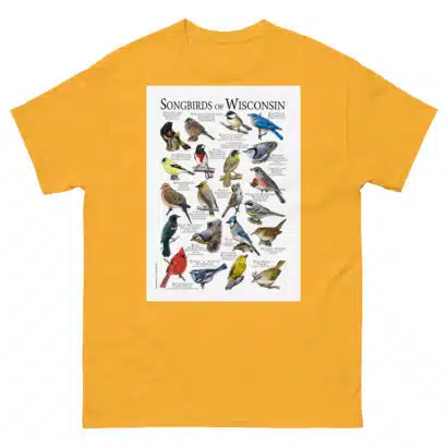 Songbirds of Wisconsin - Men's classic tee - Image 8