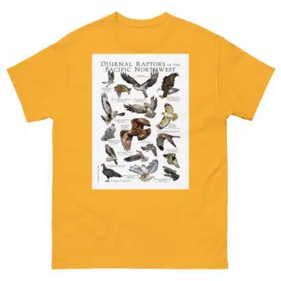 Diurnal Raptors of the Pacific Northwest - Men's classic tee - Image 8