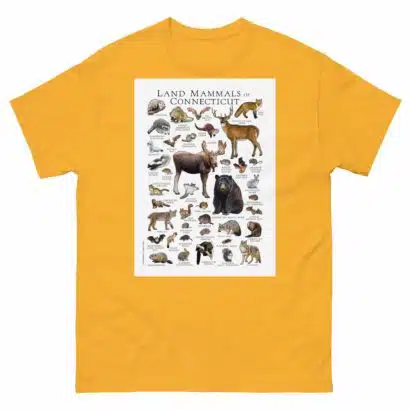 Land Mammals of Connecticut - Men's classic tee - Image 8