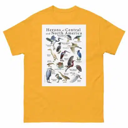Herons of North and Central America - Men's classic tee - Image 8