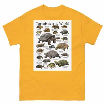 Tortoises of the World - Men's classic tee - Image 8