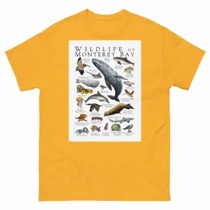 Wildlife of Monterey Bay - Men's classic tee - Image 8