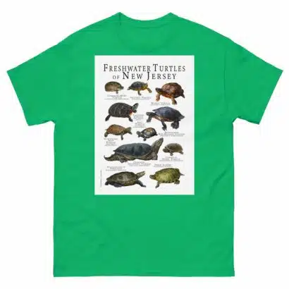 Freshwater Turtles of New Jersey - Men's classic tee - Image 6