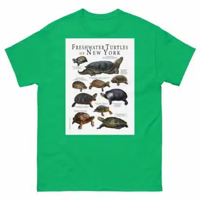 Freshwater Turtles of New York - Men's classic tee - Image 6