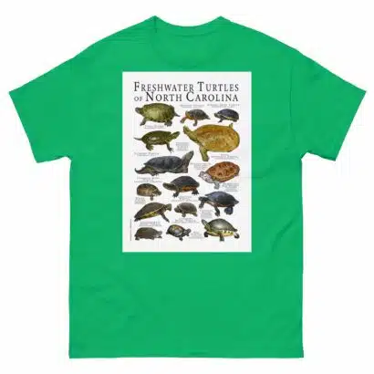 Freshwater Turtles of North Carolina - Men's classic tee - Image 6