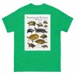 Freshwater Turtles of Ohio - Men's classic tee - Image 6