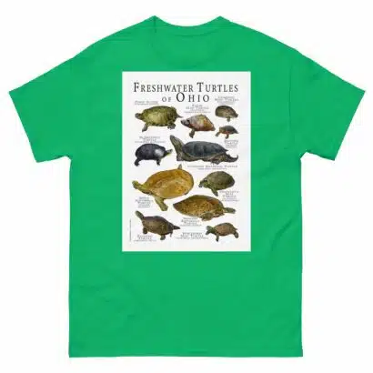 Freshwater Turtles of Ohio - Men's classic tee - Image 6